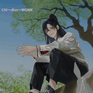 CAI-diss-WGNN
