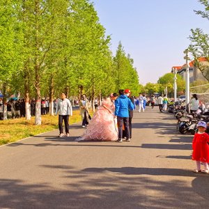 这一路阳光