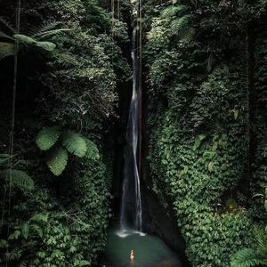 热带雨林（Cover）