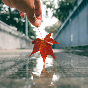 Jujur Harus Ku Ungkapkan