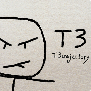 T3
