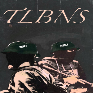 Talibanes
