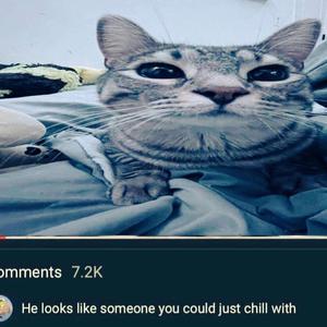 ?.Wav (feat. Rakuen)