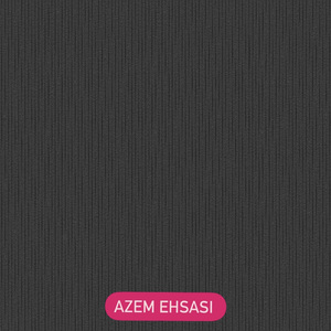 Azem Ehsasi