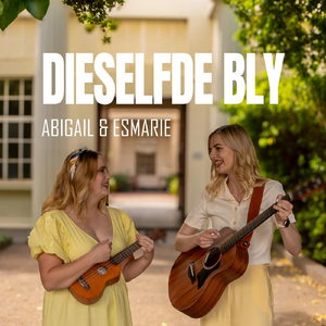 Dieselfde Bly