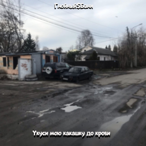 Эксгумация червивых свиней