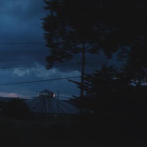 樱花草（翻自 苏白睡醒啦）