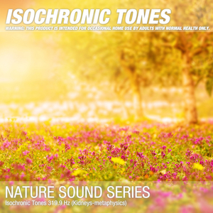 Isochronic Tones 319.9 Hz (Kidneys-metaphysics) 01