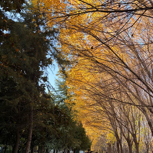 把自己还给自己