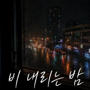 비 내리는 밤