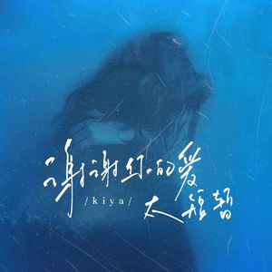 谢谢你的爱太短暂