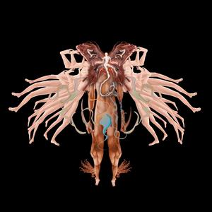 (afro)"美丽新世界.."免费travis scott Type Beat