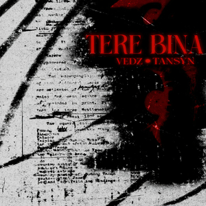 TERE BINA
