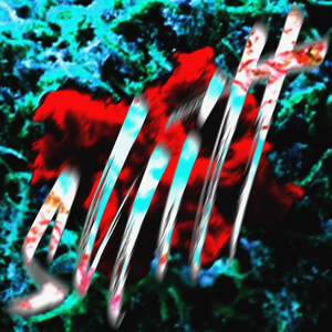 SHITT (prod. Scarim)