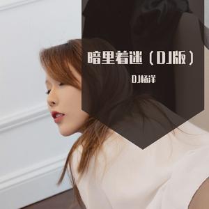 暗里着迷（DJ版）
