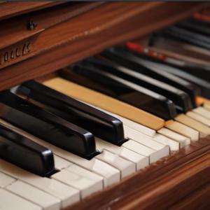 Slow Breath in Amber