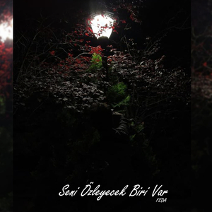 Seni Özleyecek Biri Var