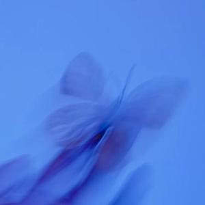 偏偏我熬不过这场思念