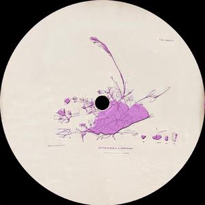 Stellar (Marincu Remix) (Marincu Remix)