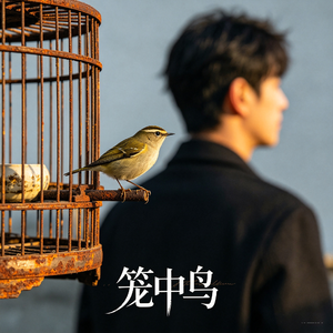 笼中鸟