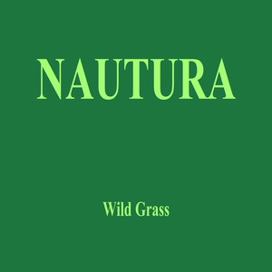 Wild Grass