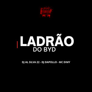 Ladrão do Byd