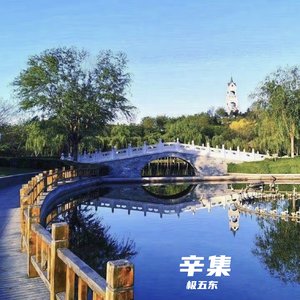 辛集