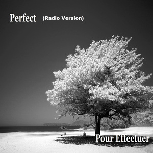 Perfect (Radio Version)