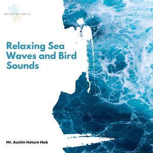 Morning Relaxation and Birds Noise