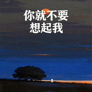 你就不要想起我