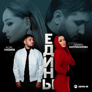 Едины