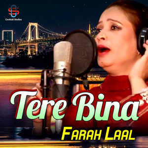 Tere Bina
