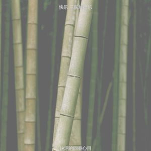 安静的温泉声音