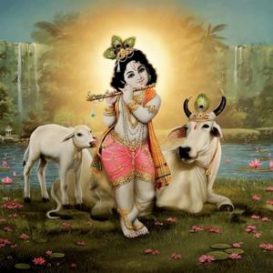 Go-Raksha (Protect Mother Cow)