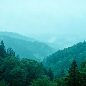 9277(Cover 麦小兜)