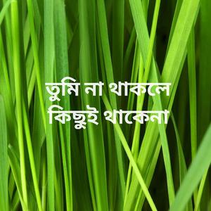 তুমি না থাকলে কিছুই থাকেনা