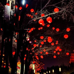 岁闹新春财满门