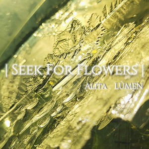 Seek For Flowers