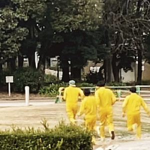 ピクニックに行こうよ