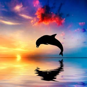 美梦领取屋 (睡眠钢琴曲)