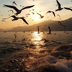 希望你的好只对我一个人