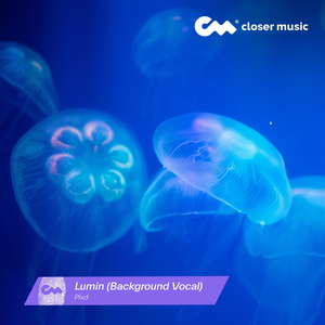 Lumin (Instrumental)