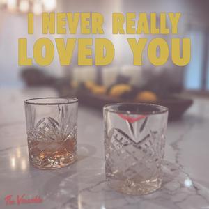 I Never Really Loved You (feat. Libra) (Radio Edit)