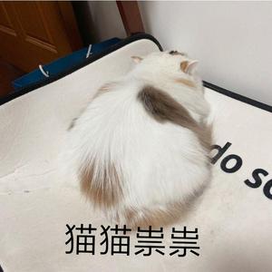 无题（《山河令》网剧插曲）