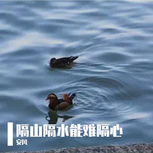 扔握你名