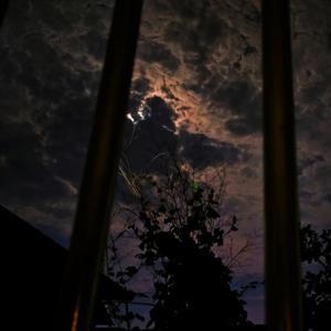 夜晚贝多芬(prod.by GOAT CREW)