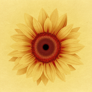 拝啓おばあちゃん