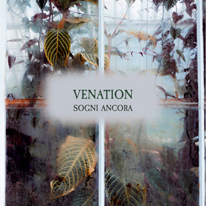 Venation