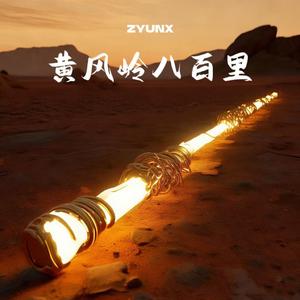 黄风岭八百里（ZYUNX Remix）