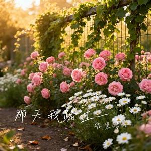那天我路过一片花园 (Cover 苏运莹)
